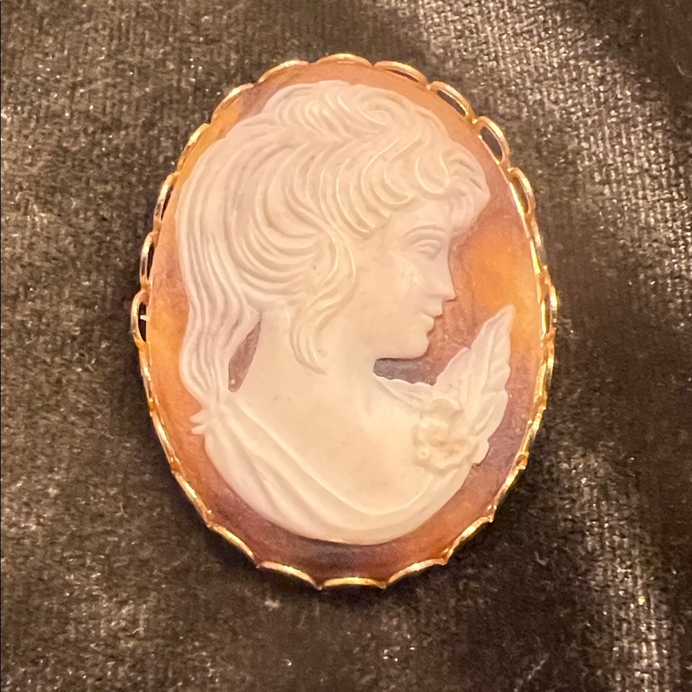 Vintage Molded Resin Cameo Brooch- Lady profile w/rose accent, gold-tone frame